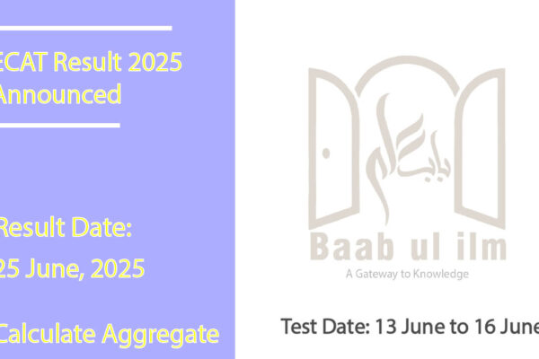 ECAT result 2025